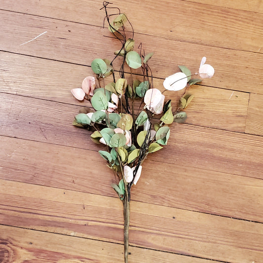 Antique Eucalyptus Stem