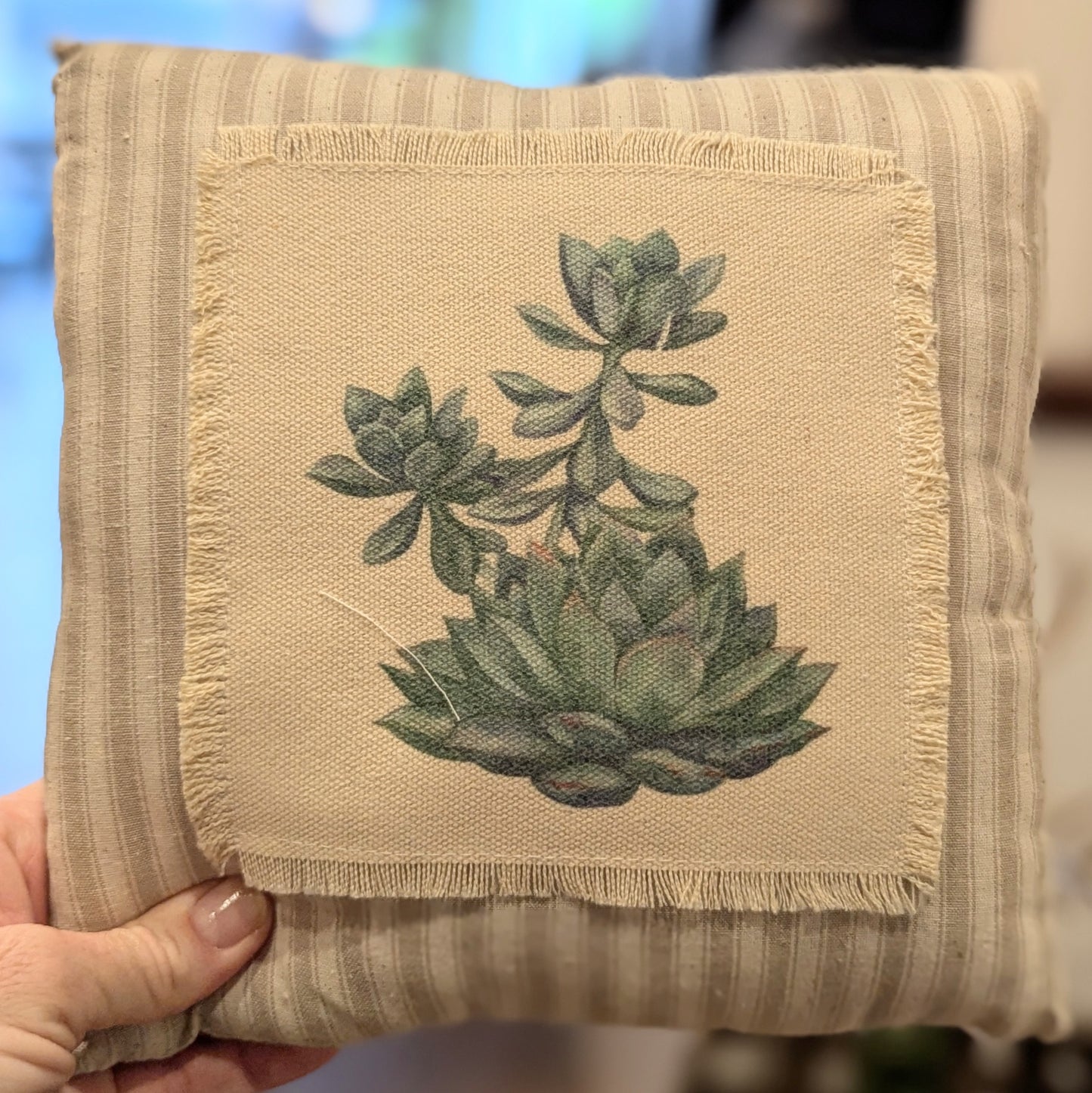Decorative Pillow with Succulent (varies)