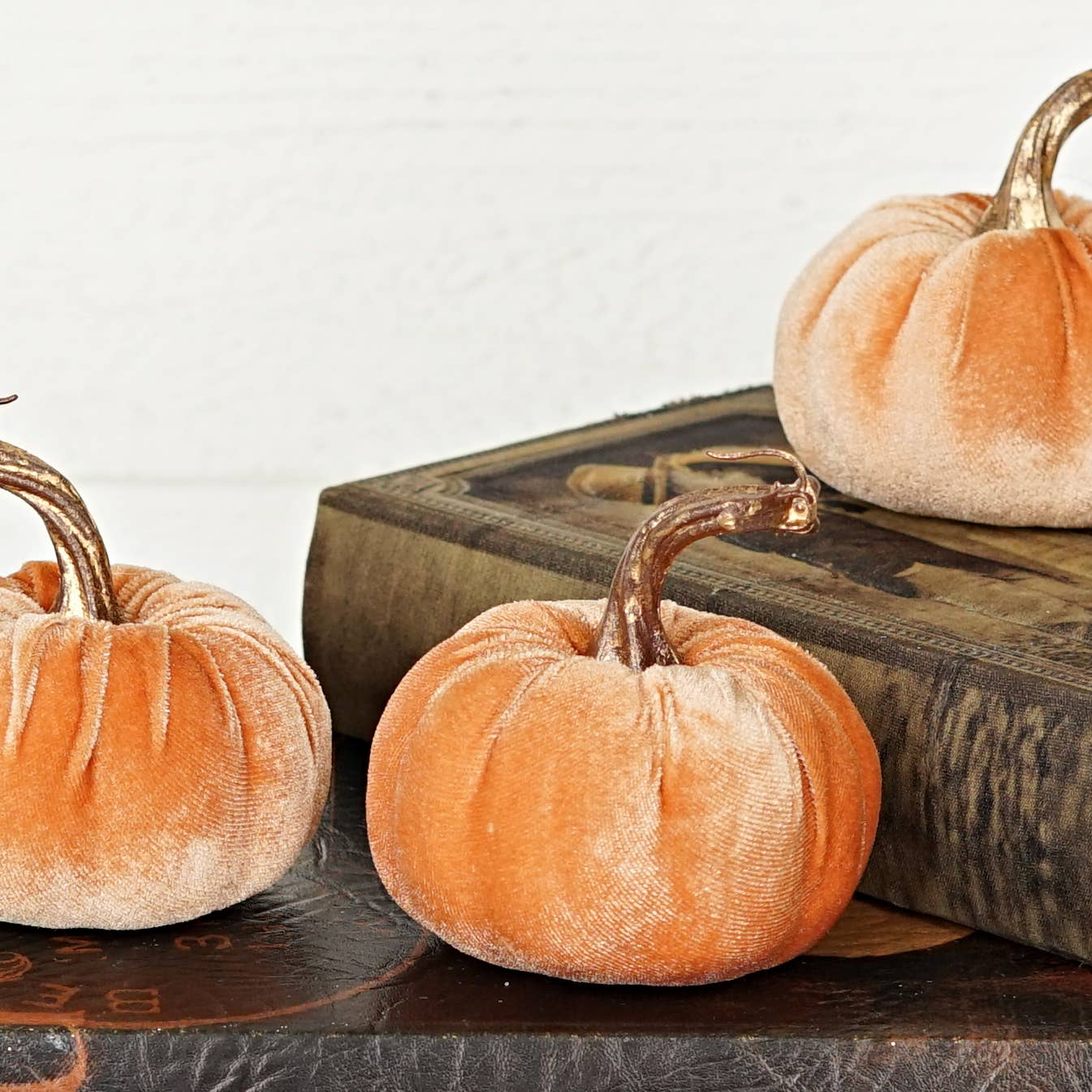 4in Velvet Pumpkin in Peach