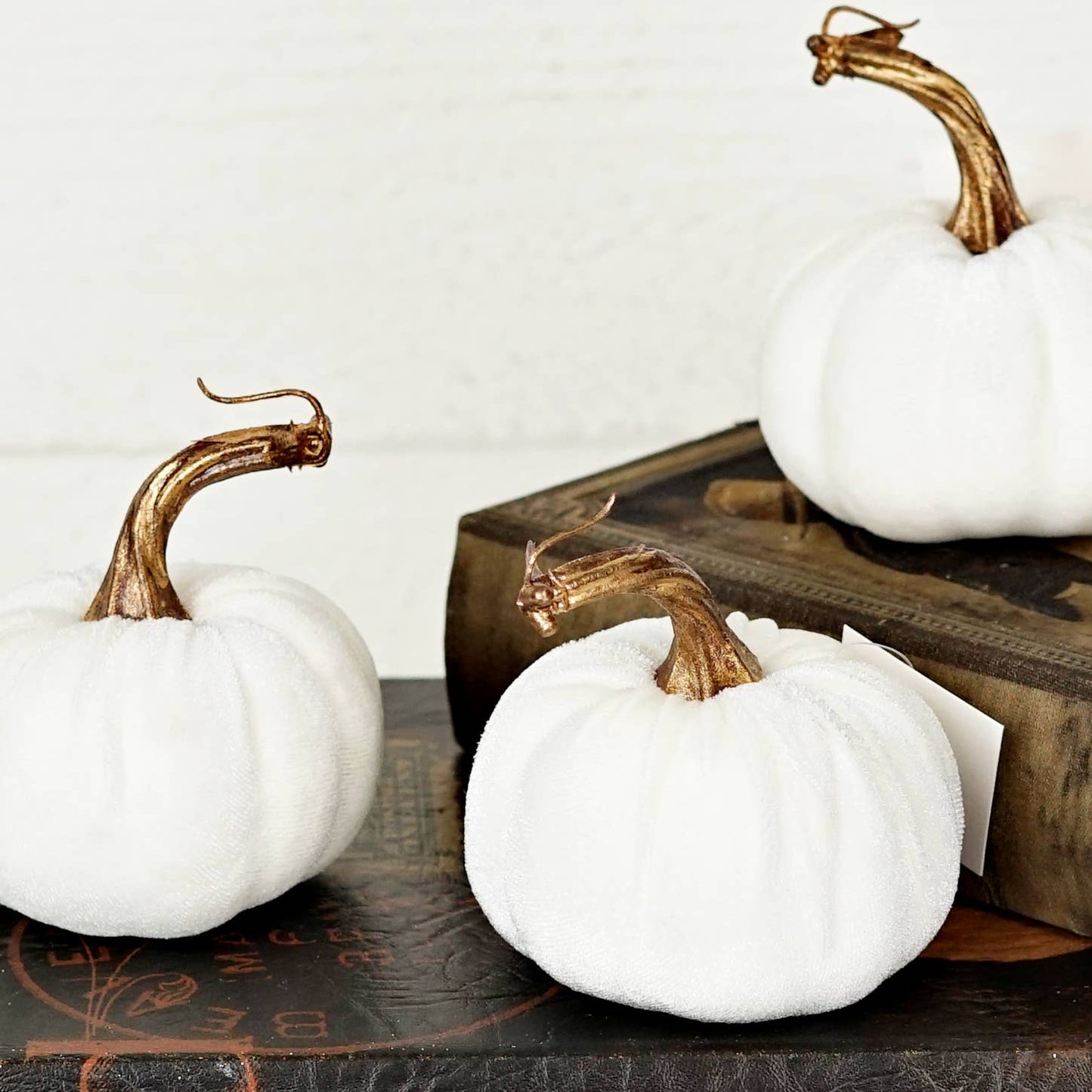 4in Velvet Pumpkin in Cream