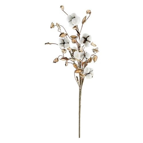 Cotton Spray with Shells 24" Stem