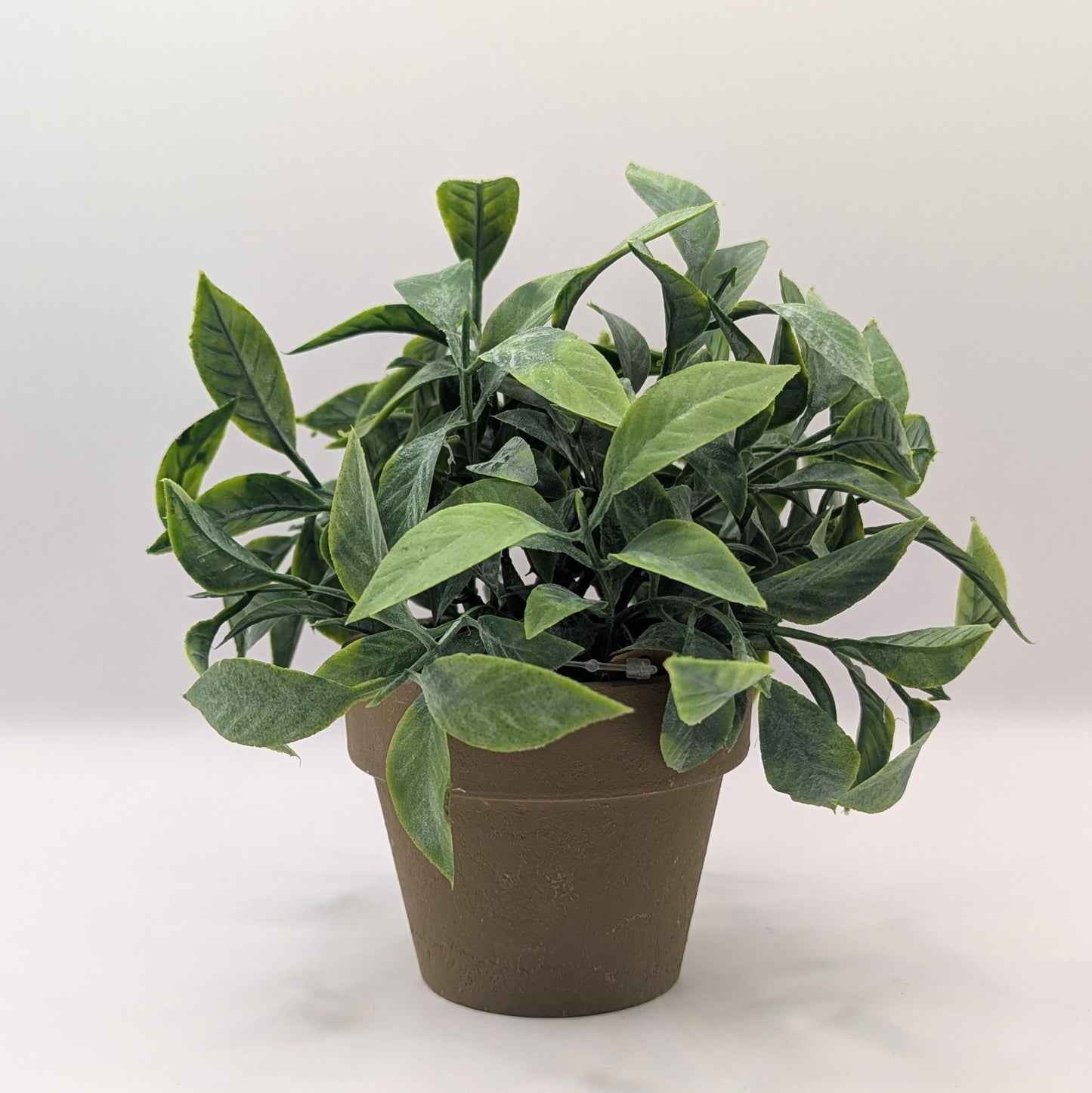 Gift Set - Green Thumb