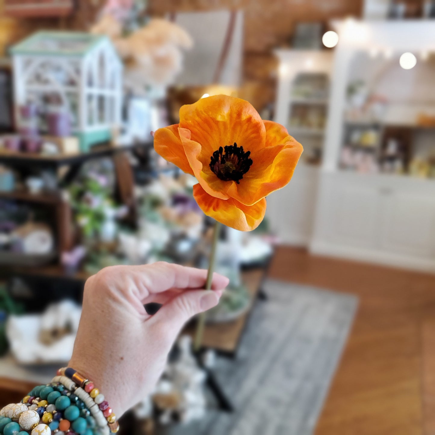 Summer Poppy Stem