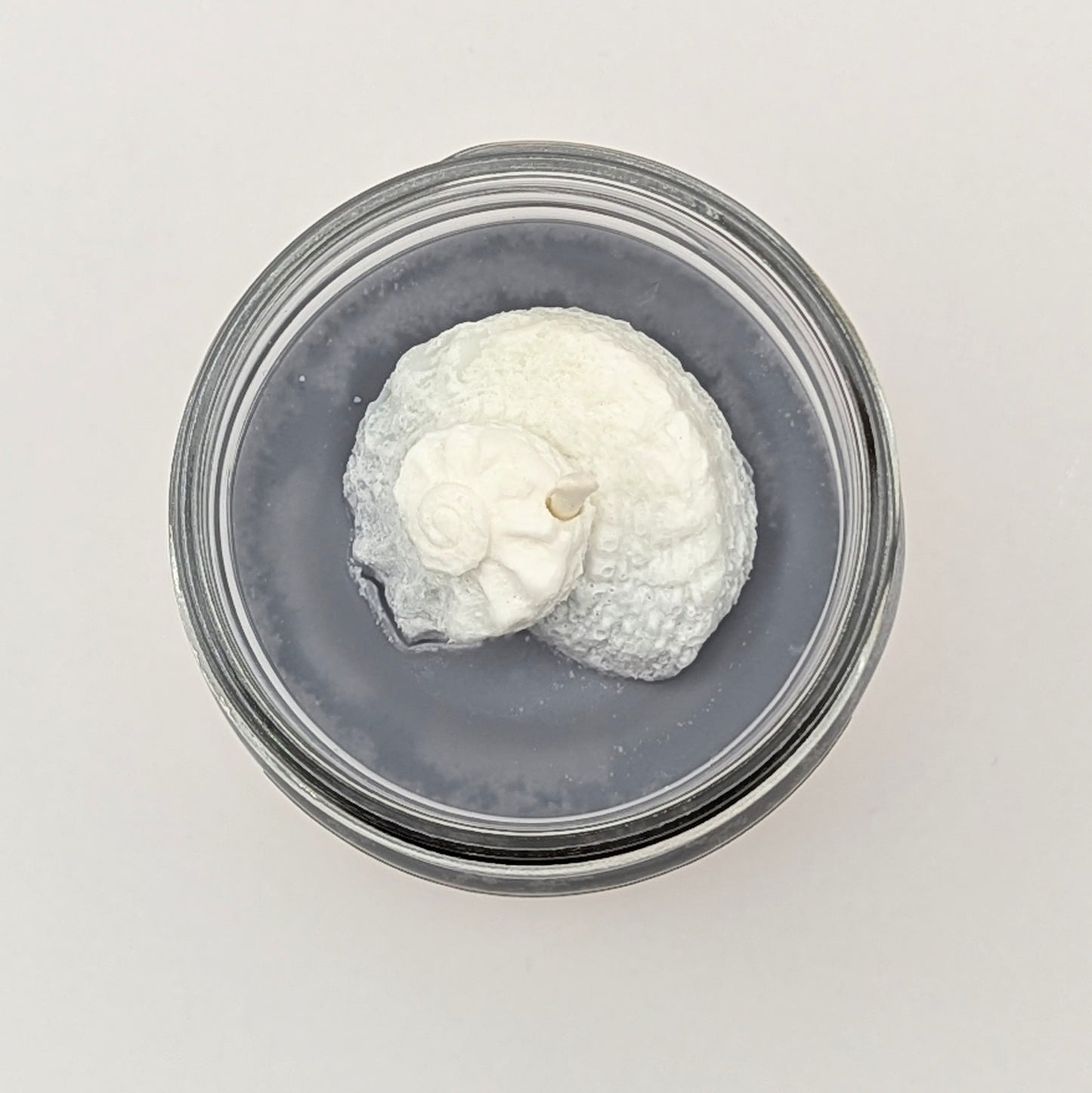 Coastal Cottage 12oz Candle