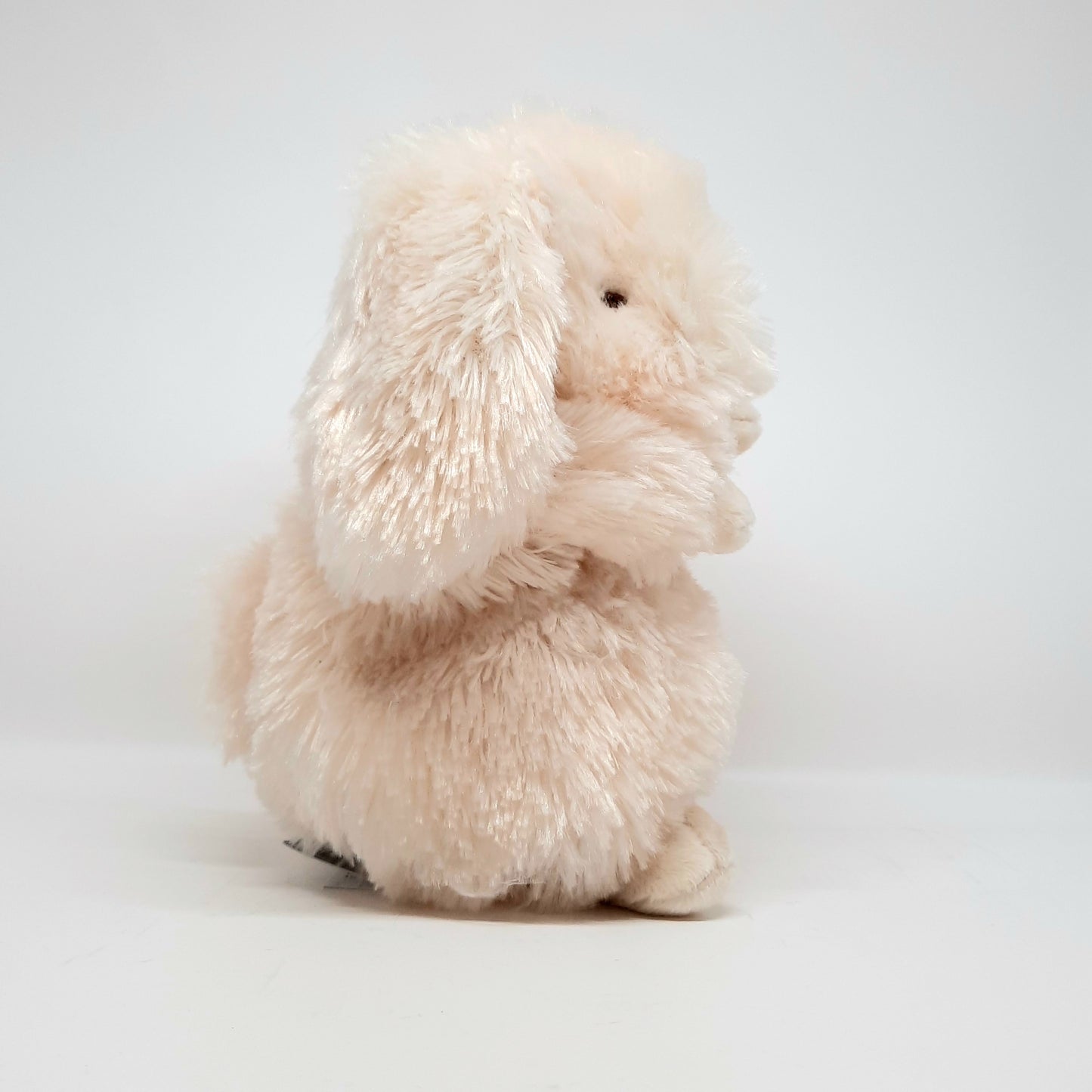 Rutabaga the Bunny