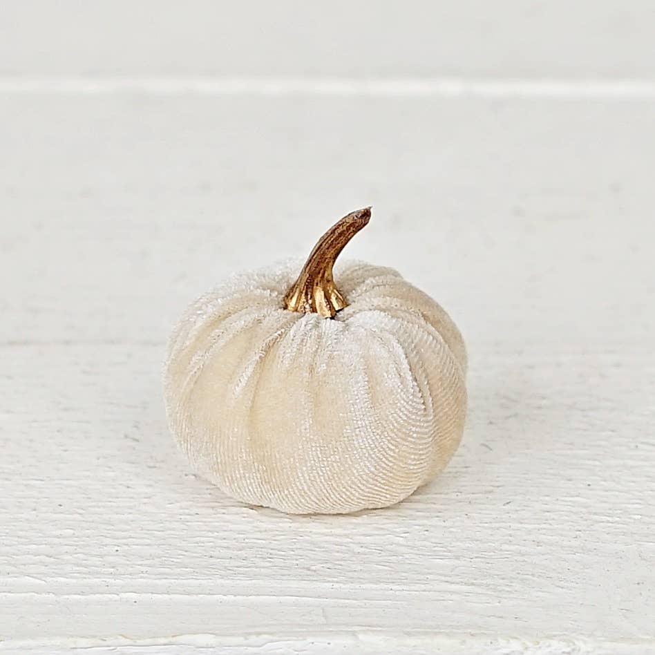 Bag of 6 Velvet 2in Pumpkins in Champagne