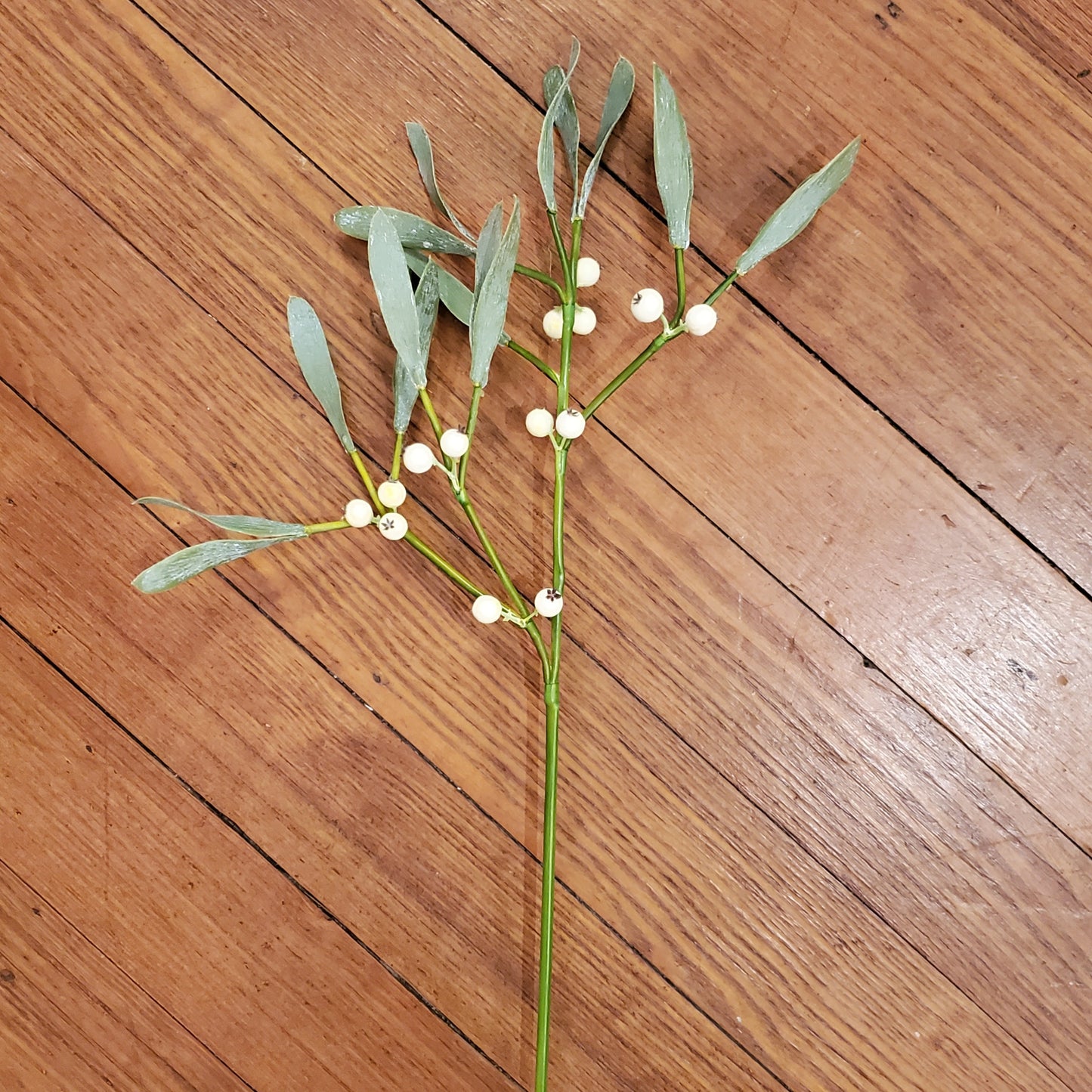 White Berry Stem