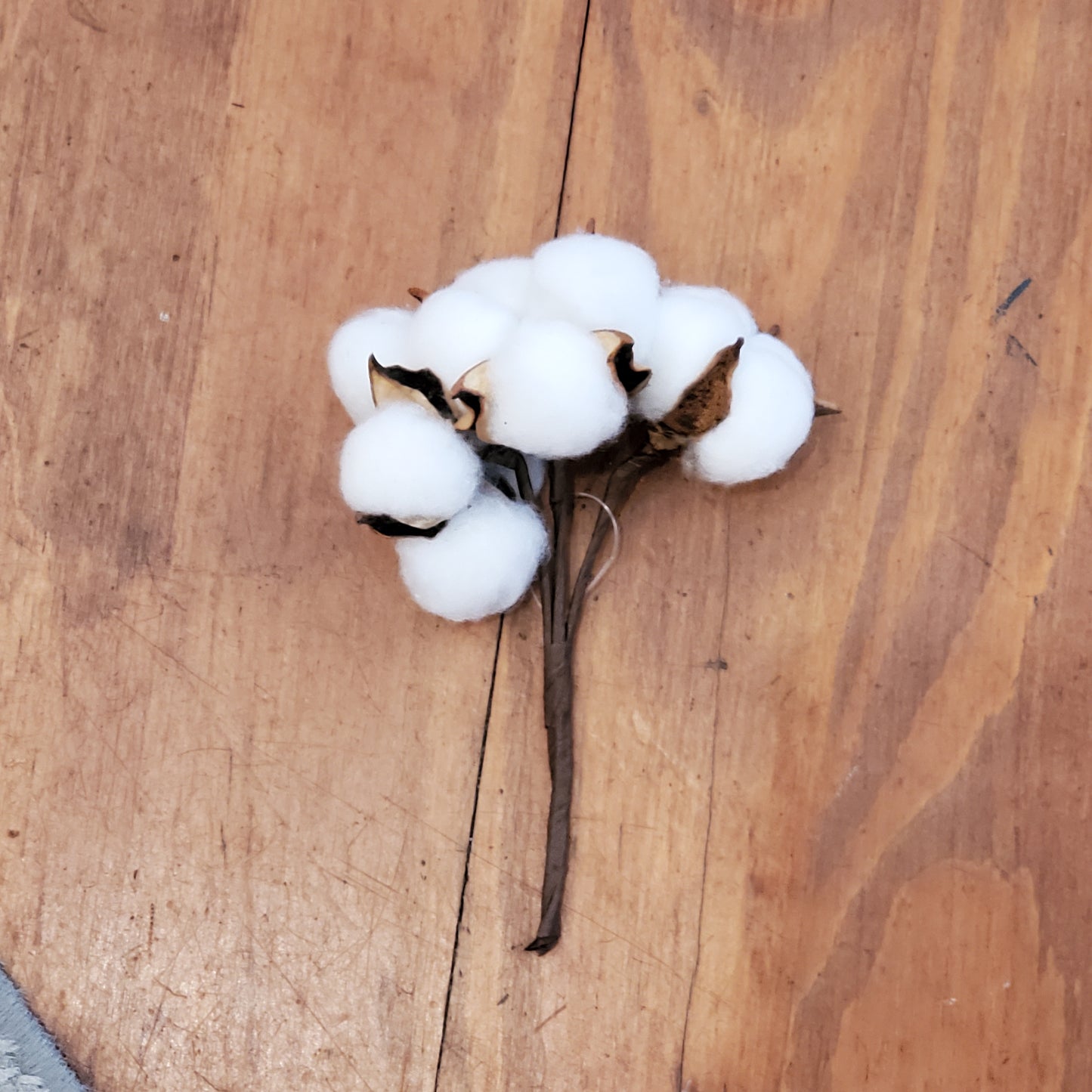 Cotton Pick