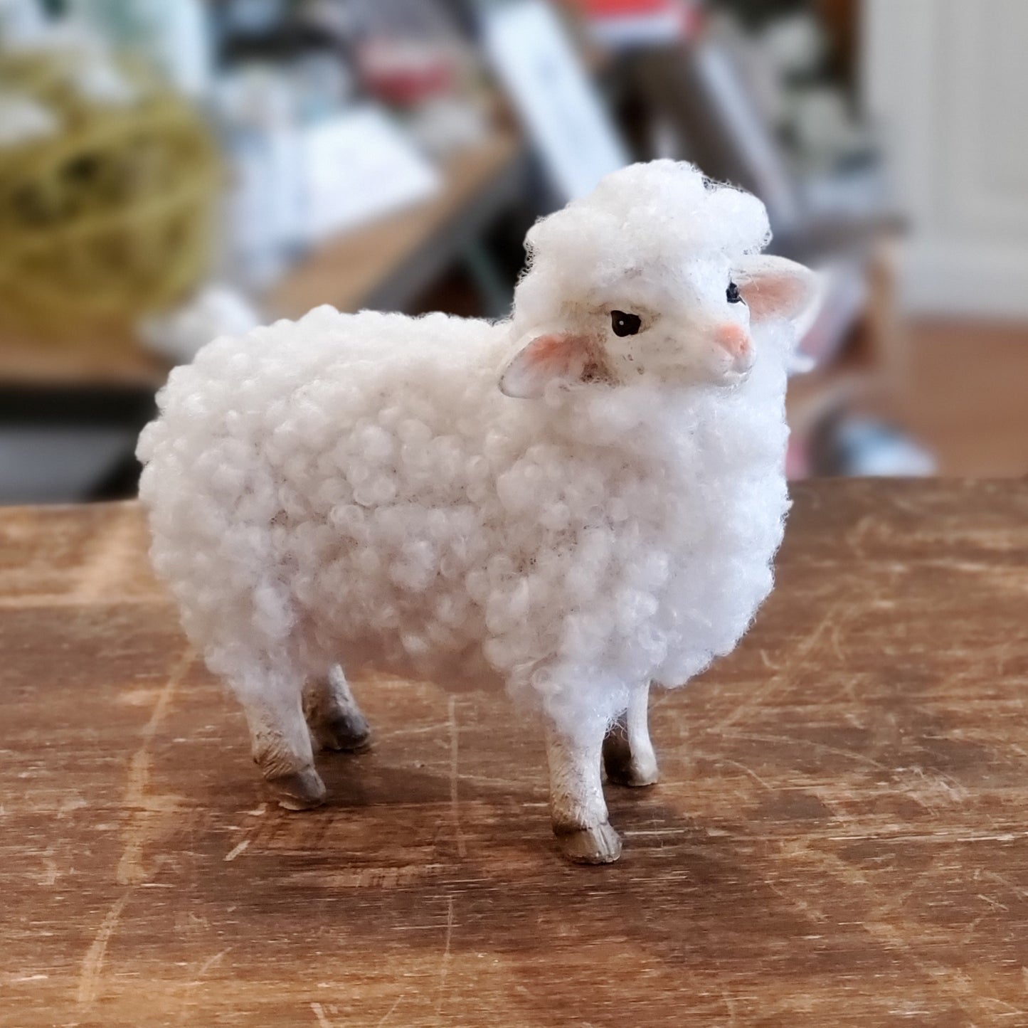 Wooly Sheep / Lamb (varies)