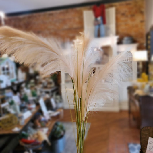 Pampas Grass