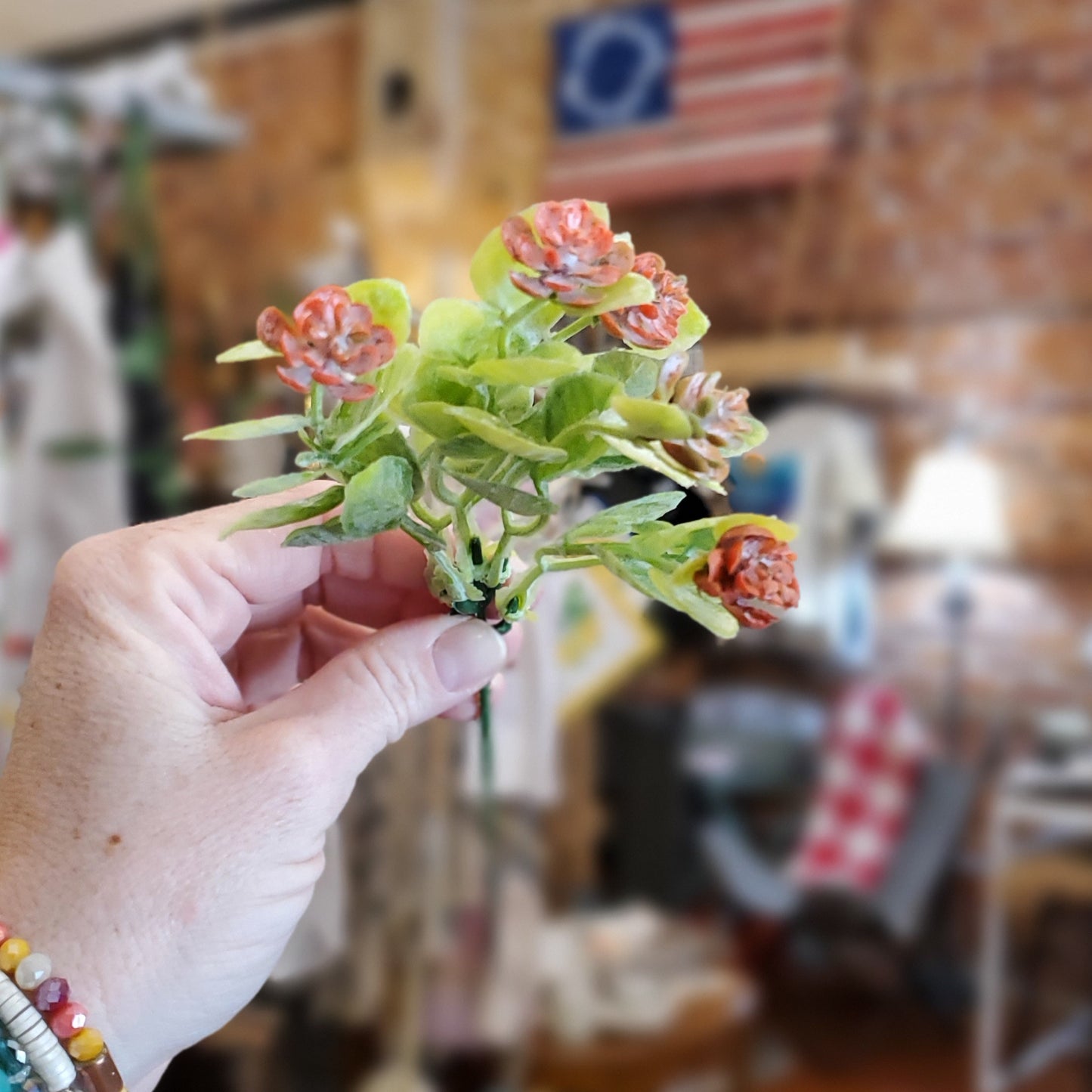 Succulent Stem with Flowers