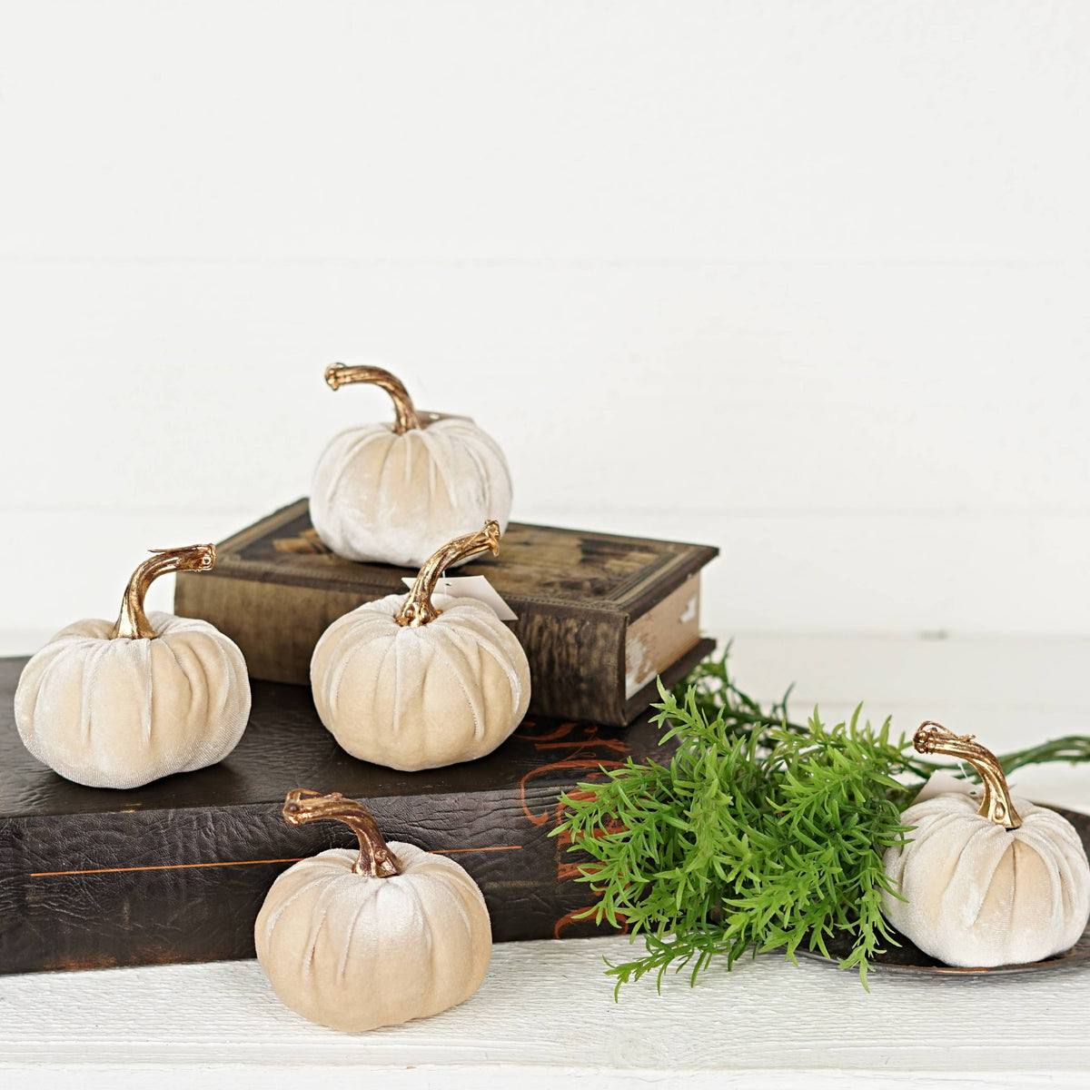 4in Velvet Pumpkin in Champagne