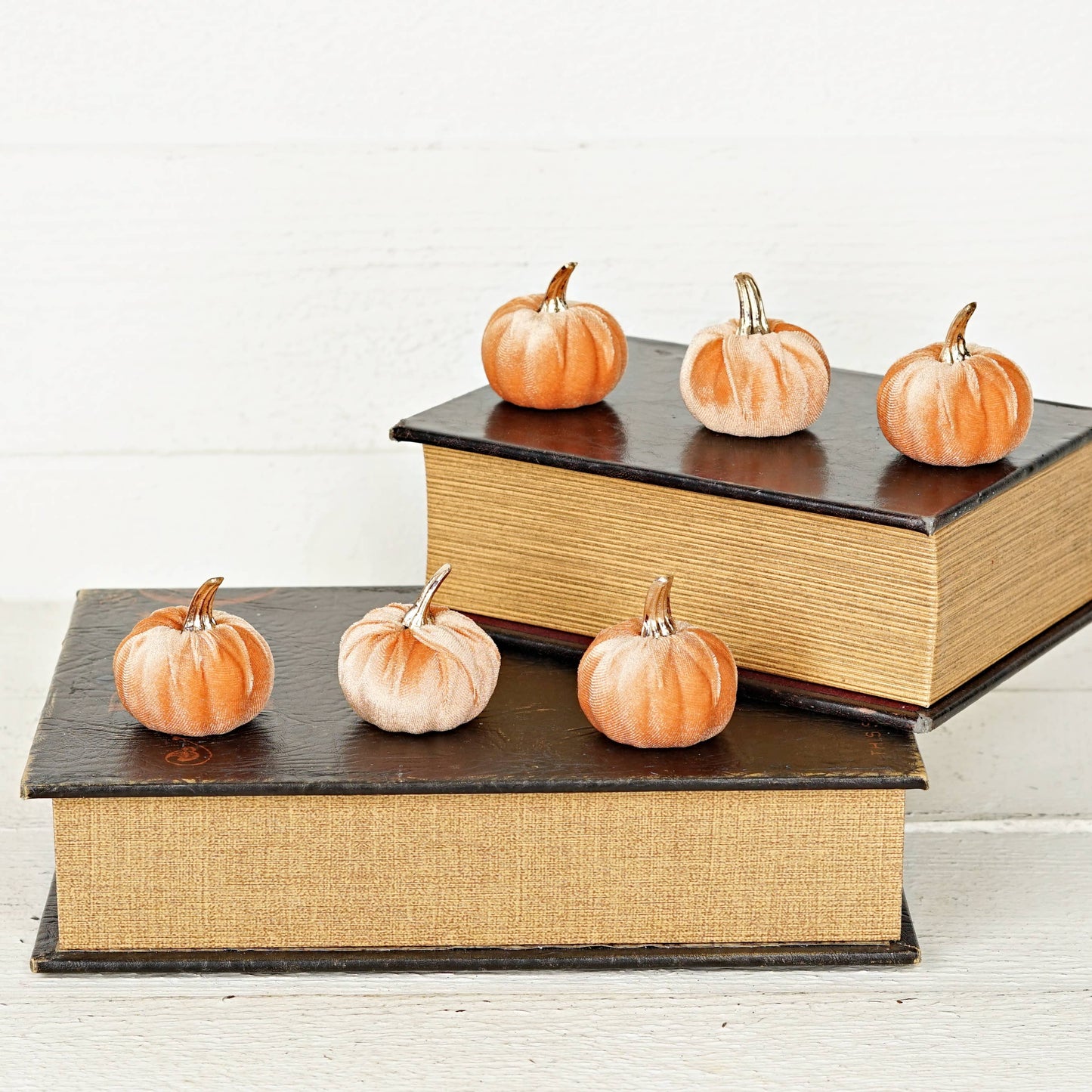 Bag of 6 Velvet 2in Pumpkins in Peach