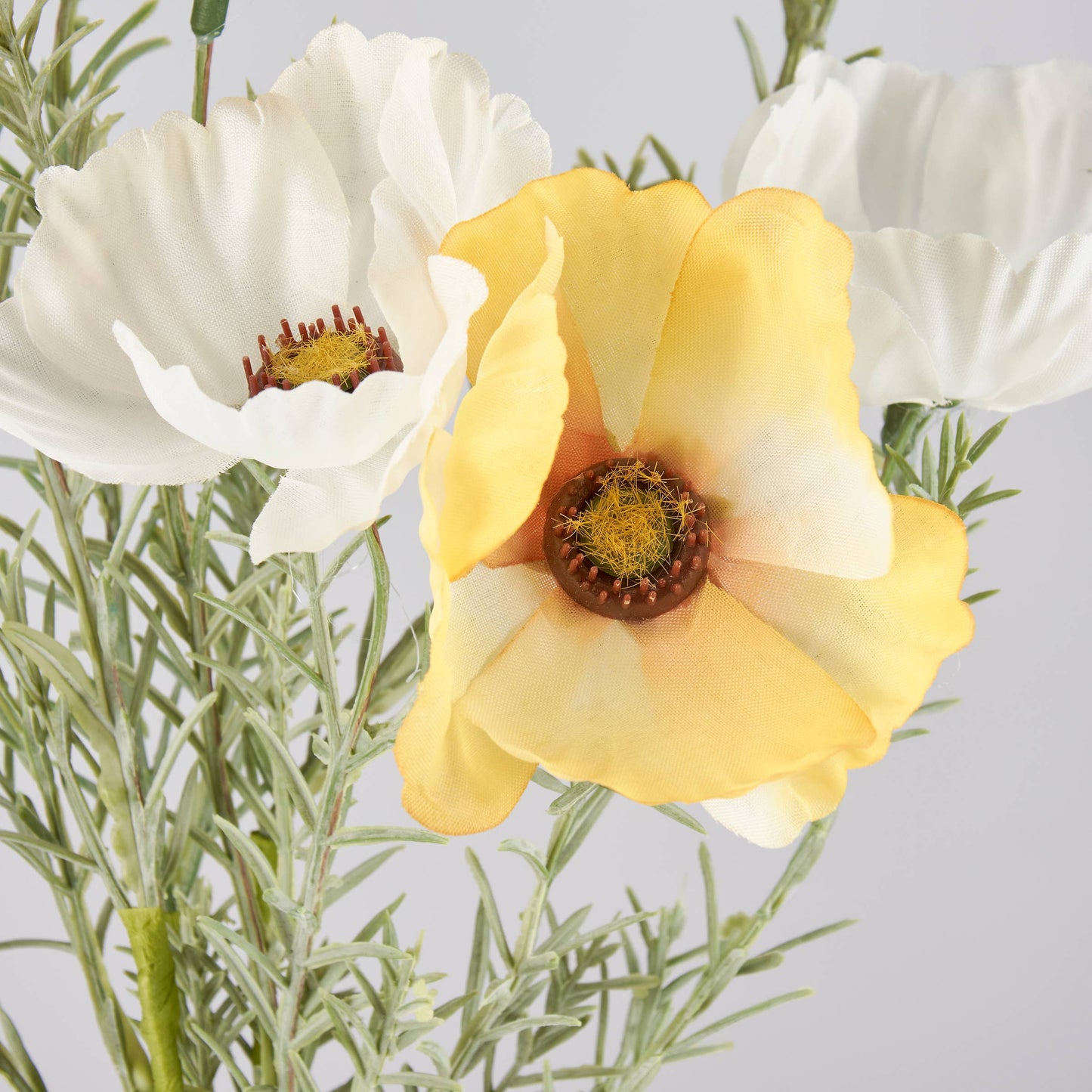 Yellow Sunshine Cosmos Bouquet
