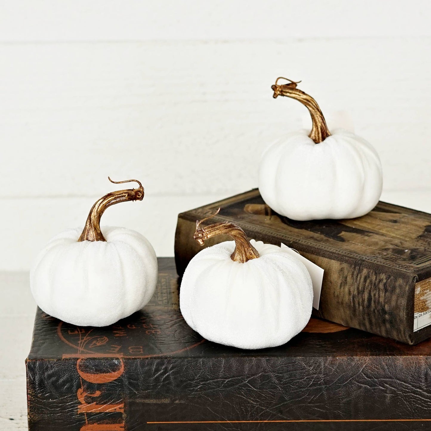 4in Velvet Pumpkin in Cream