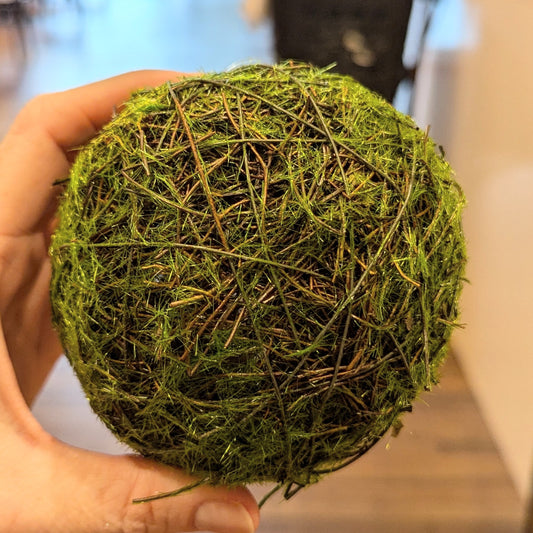 (Faux) Moss & Twig Ball