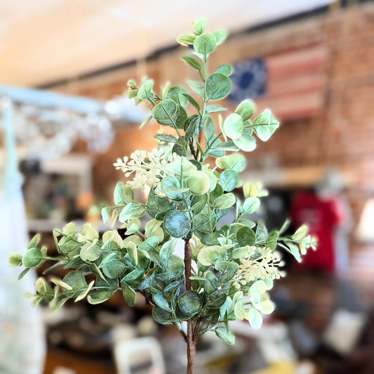 White Berry Eucalyptus Stem