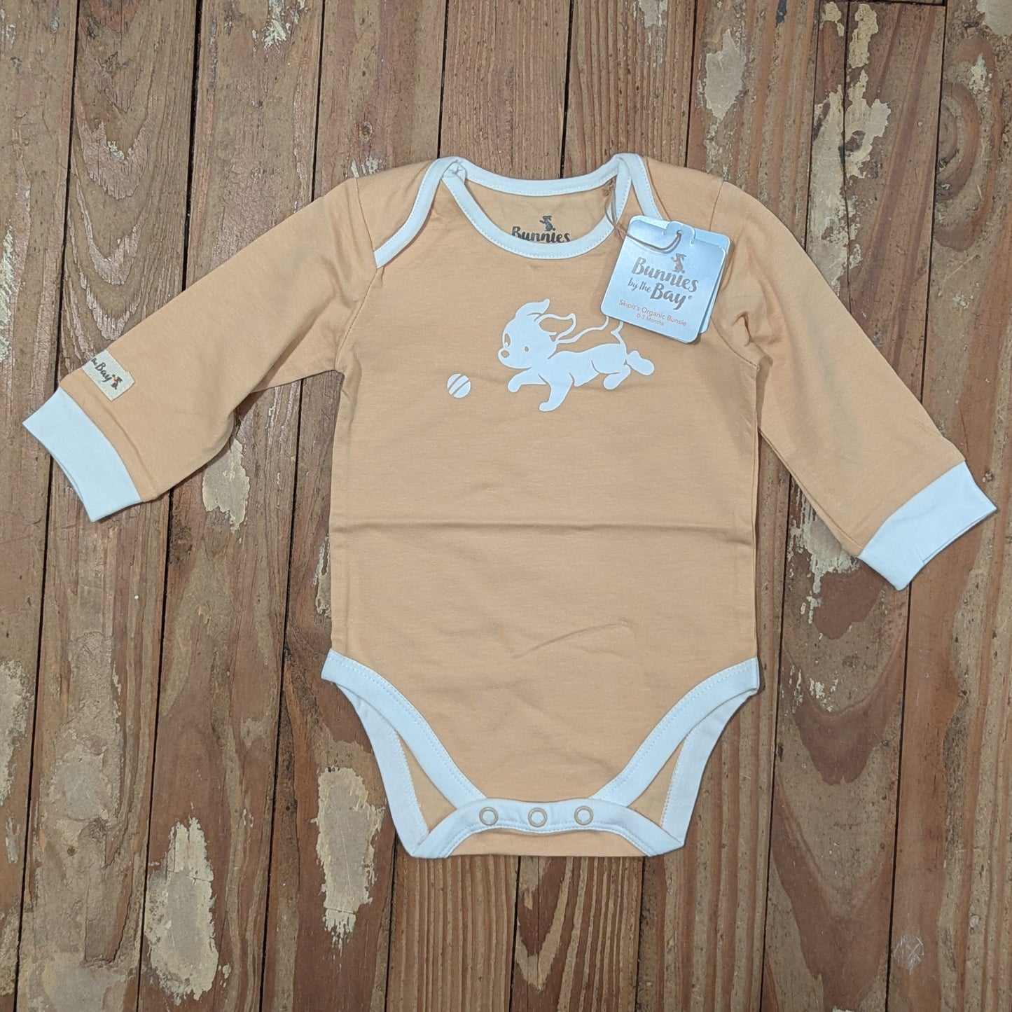 Onesie - Long-Sleeve with Puppy (0-3 mos)