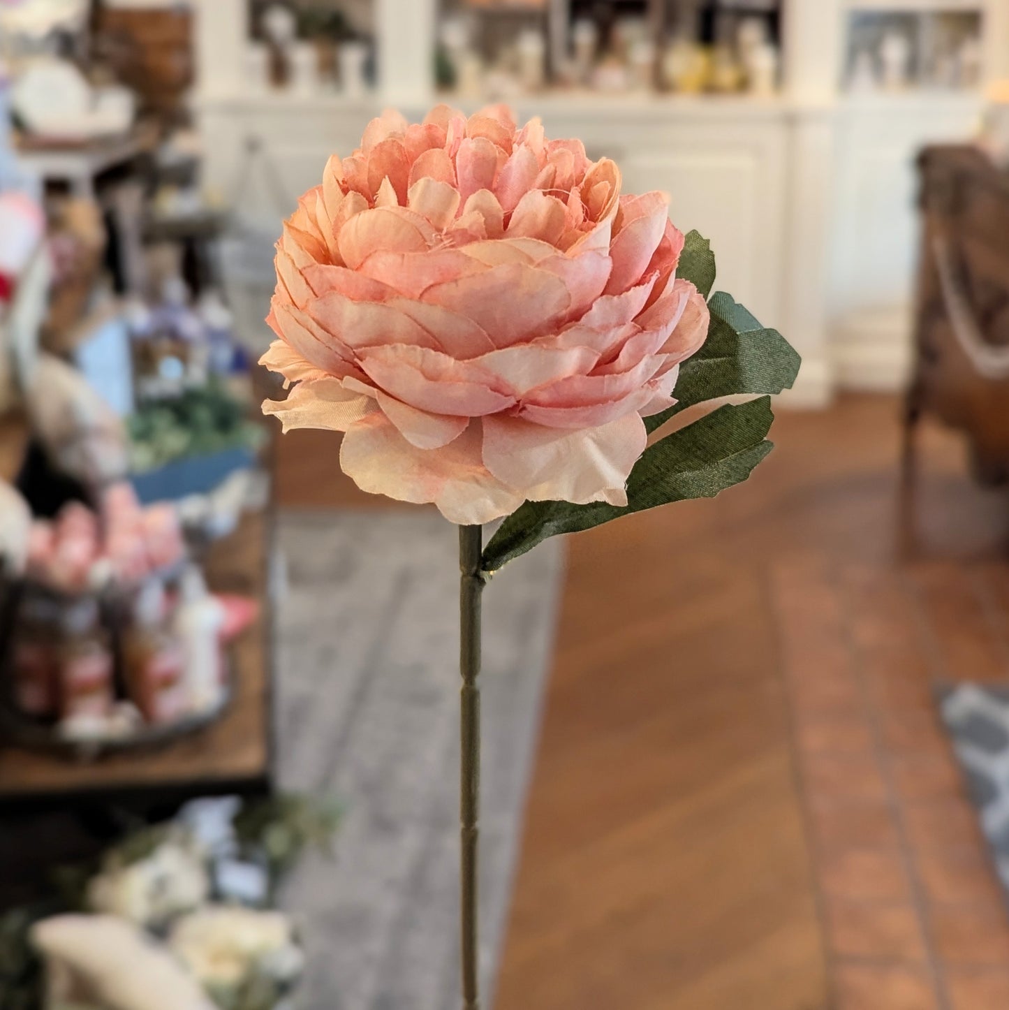 Single Blush Peony Stem