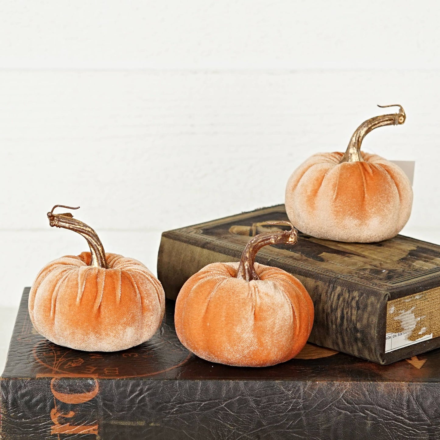 4in Velvet Pumpkin in Peach