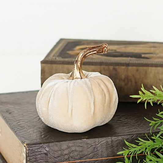 4in Velvet Pumpkin in Champagne