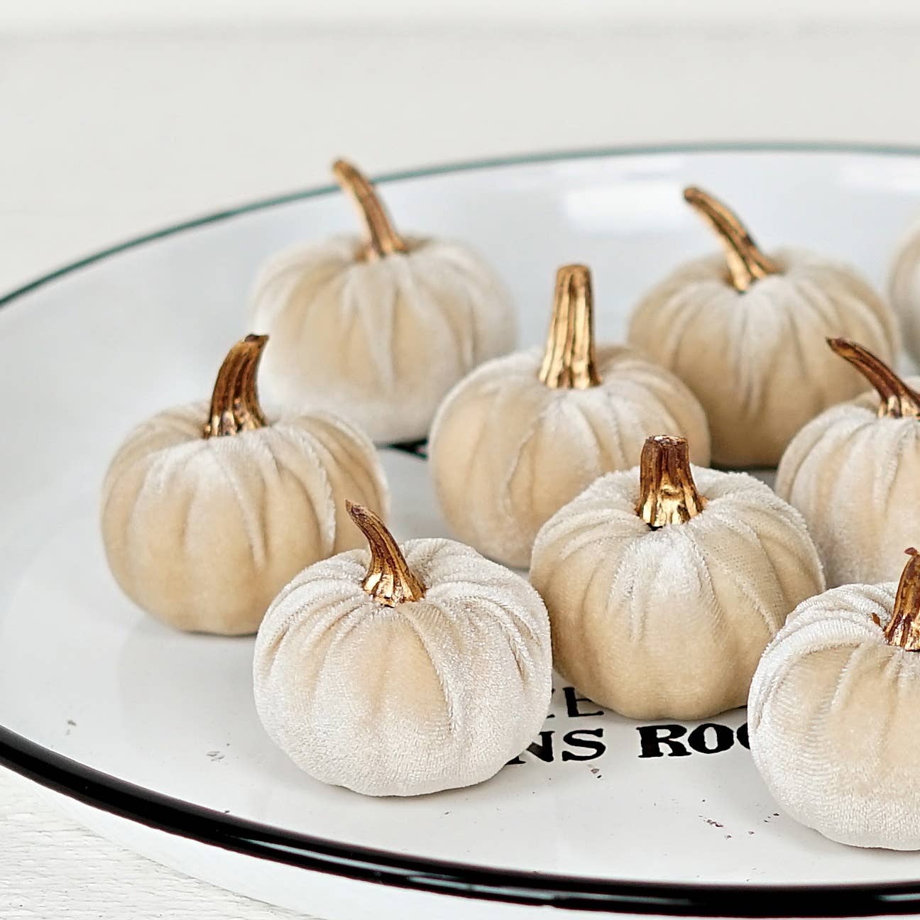 Bag of 6 Velvet 2in Pumpkins in Champagne