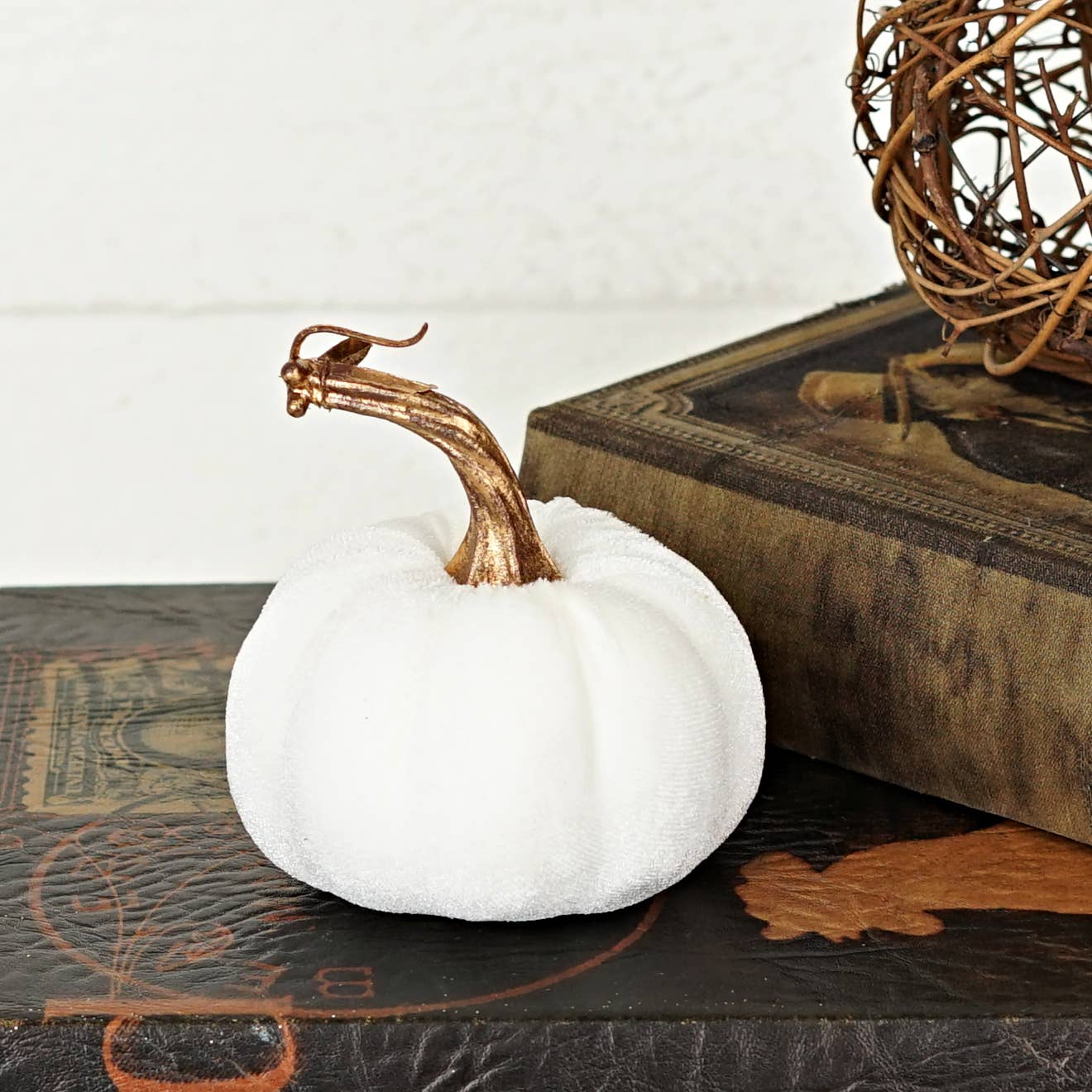 4in Velvet Pumpkin in Cream