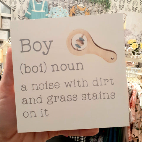 Boy (boi): noun, a noise...