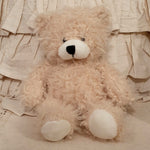 Campbell Teddy Bear